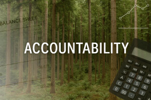 Forest Accountability Douglas-fir forest with finance overlay illustrating accountability — Forest Econometrics